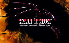 Photo of Kali Linux: Heaven for Hackers?