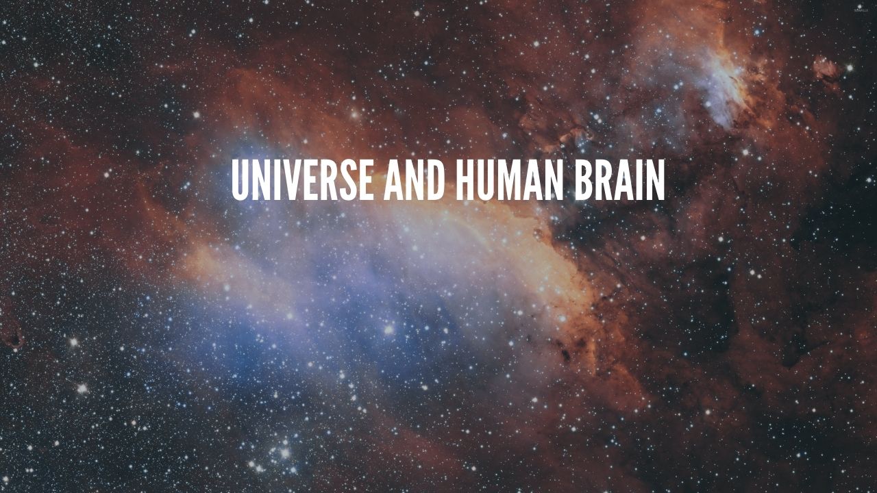 universe and Human Brain