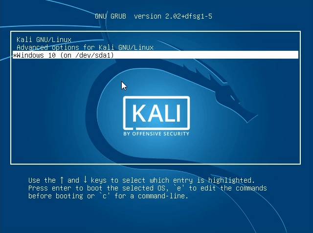 kali-linux