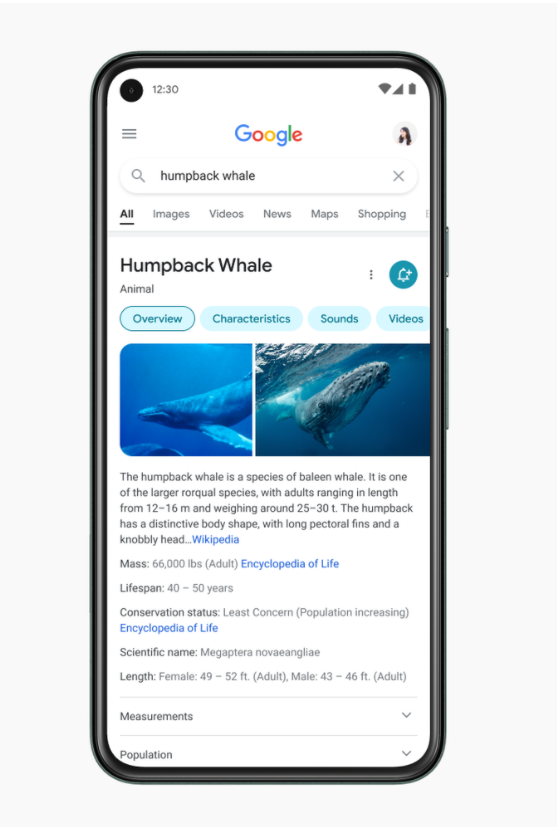 Google-mobile-search-redesign