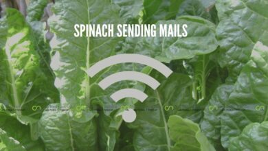 Photo of Spinach Plant Able to Send an Email